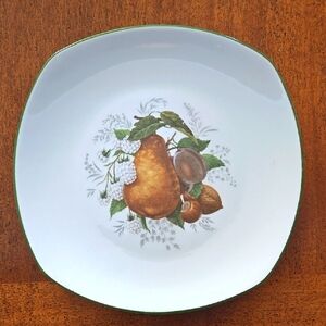 Hutschenreuther White‎ Plate with Fruit Design - Like New